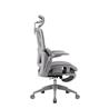 iCAN E21-GY Reclining Ergonomic Office Chair(Open Box)