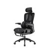 iCAN E21-BK Special Mesh Ergonomic Office Chair
