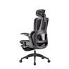 iCAN E21-BK Special Mesh Ergonomic Office Chair