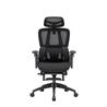 iCAN E21-BK Special Mesh Ergonomic Office Chair