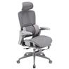 iCAN E21-GY Reclining Ergonomic Office Chair(Open Box)