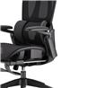 iCAN E21-BK Special Mesh Ergonomic Office Chair