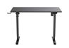 iCAN Office Desk, Electric Height Adjustable, 120*60*73-118cm, 16mm Wooden Tabletop, 4 memories, 1 Type A, 1 Type C, Cup Hol...