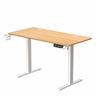 iCAN Electric Height Adjustable Desk, 120*60*73-118cm, 16mm Wooden Tabletop, Memories & Reminder, Cup Holder + Headset Holder +