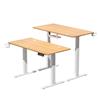 iCAN Electric Height Adjustable Desk, 120*60*73-118cm, 16mm Wooden Tabletop, Memories & Reminder, Cup Holder + Headset Holder +