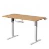 iCAN Electric Height Adjustable Desk, 120*60*73-118cm, 16mm Wooden Tabletop, Memories & Reminder, Cup Holder + Headset Holder +