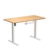 iCAN Electric Height Adjustable Desk, 120*60*73-118cm, 16mm Wooden Tabletop, Memories & Reminder, Cup Holder + Headset Holder +