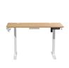 iCAN Electric Height Adjustable Desk, 120*60*73-118cm, 16mm Wooden Tabletop, Memories & Reminder, Cup Holder + Headset Holder +