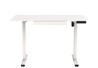 iCAN ET167-WH Electric Standing Desk