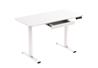 iCAN ET167-WH Electric Standing Desk