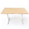 iCAN STD-ES6-WH Electric Standing Desk 1200×600mm White