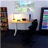 iCAN STD-ES6-WH Electric Standing Desk 1200×600mm White