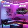 iCAN Smart LED RGB+IC 32.8ft Strip Lights, Music Sync, APP Control.