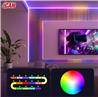 iCAN RGB+IC COB LED 16.4ft Strip Lights, Music Sync, Home Decor.