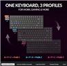 Keychron K2 HE 75 % Clavier Interrupteurs magnétiques