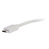 Cables to Go USB-C TO DISPLAYPORT ADAPTER CONVERTER - White (29481)