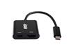 iCAN Type C to HDMI 4k@30Hz + Type C Charging/PD 2-in-1 Adapter, Black(Open Box)