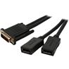 Tripp Lite DMS-59 to 2x DVI-I F Splitter Cable - DMS-59 Male Digital Video - DVI-I (Dual-Link) Female Digital Video (Black) - 1