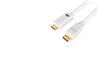 iCAN 28AWG DisplayPort to HDMI Cable, M/M, Gold Plated, 3FT, White