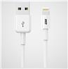 iCAN USB-A 2.0 to Lightning Cable, Apple MFi, M/M, 6FT, White