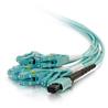 CABLES TO GO MTP® Compatible MPO to 6 Duplex Fiber Breakout Cable OM3 riser rated - 1m (31322)