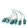 CABLES TO GO MTP® Compatible MPO to 6 Duplex Fiber Breakout Cable OM3 riser rated - 1m (31322)