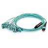 CABLES TO GO MTP® Compatible MPO to 6 Duplex Fiber Breakout Cable OM3 riser rated - 1m (31322)