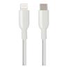 iCAN USB-C to Lightning Cable, Apple MFi Certified M/M, 3ft