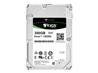 300 GB 2.5" SAS Seagate Exos 15E900 Server Hard Drive - 15K rpm (ST1000NX0333)