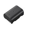 Panasonic DMW-BLF19 - Batterie rechargeable Li-ion (7,2 V, 1860 mAh)