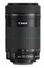 Canon EF-S 55-250mm f/4-5.6 IS STM Lens