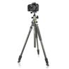 Vanguard Alta Pro 2+ 263CB 100 Carbon w/ Ball Head | Tripod Kit