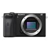 Sony Alpha 6600 premium E-mount APS-C camera (ILCE6600/B)