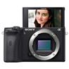 Sony Alpha 6600 premium E-mount APS-C camera (ILCE6600/B)