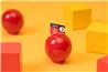 Lexar PLAY PRO 512GB microSDXC EX U3 V30