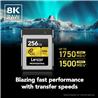 Lexar Professional 256GB CFexpress Type B Memory Card, Up to 1750MB/s Read, Raw 8K Video Recording (LCXEXPR256G-RNENG)