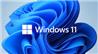 MICROSOFT Windows 11 Home Operating System