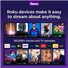 ROKU Streaming Stick 4 - 3820CA2(Open Box)