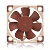 Noctua NF-A4x10 FLX, 3-Pin Premium Cooling Fan (40mm, Brown)