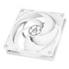 Arctic P12 PWM (White) – 120mm Pressure optimized case fan | PWM Controlled speed