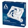 Arctic P14 MAX 140mm Ventilateur PWM, Blanc 1 pièce