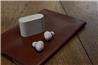 SONY WF-1000XM6 Truly Wireless NC Earbuds, Platinum Silver