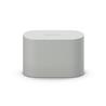 SONY WF-1000XM6 Truly Wireless NC Earbuds, Platinum Silver