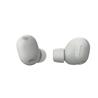 SONY WF-1000XM6 Truly Wireless NC Earbuds, Platinum Silver