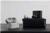 SONY WF-1000XM6 Truly Wireless NC Earbuds, Platinum Silver