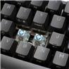 Ducky ONE 2 RGB Mini Keyboard V2 Black - TTC Blueish WH (DKON2061ST-OUSPDAZT1)