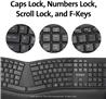 KENSINGTON K75406US Pro Fit Ergo Wireless Keyboard and Mouse  Black