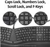 KENSINGTON Pro Fit Ergo Wired Keyboard (K75400US)