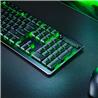 RAZER DeathStalker V2 Pro - Wireless Low Profile Optical Gaming Keyboa