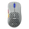 PULSAR Xlite Wireless V2 Competition Mini Retro Gray  (Limited Edition(Open Box)